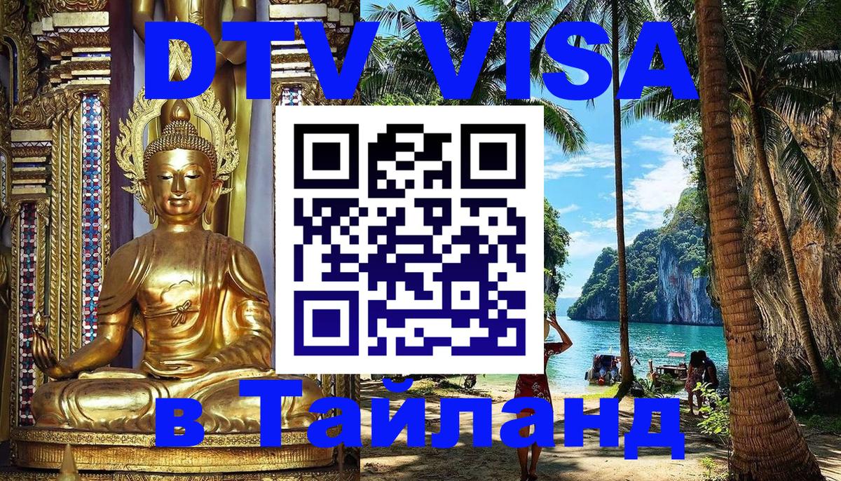 Оформление DTV визы под ключ: стоимость и тарифы, только загранпаспорт - Великий Новгород 